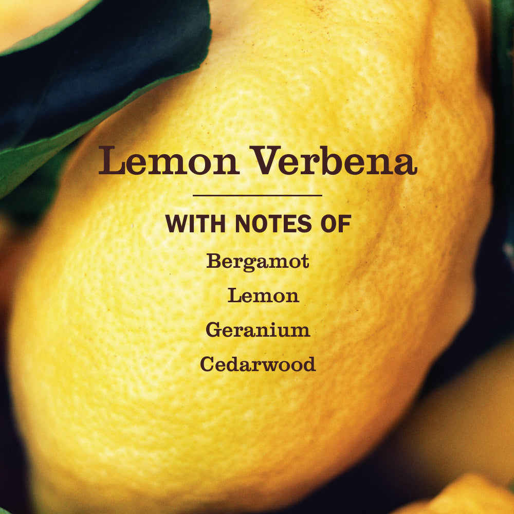 Lemon Verbena Multi-Surface Everyday Cleaner Concentrated Refills, 4 Pack