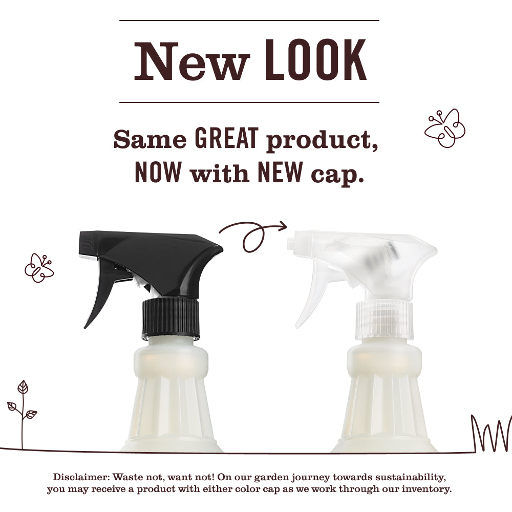 Dandelion Multi-Surface Everyday Cleaner