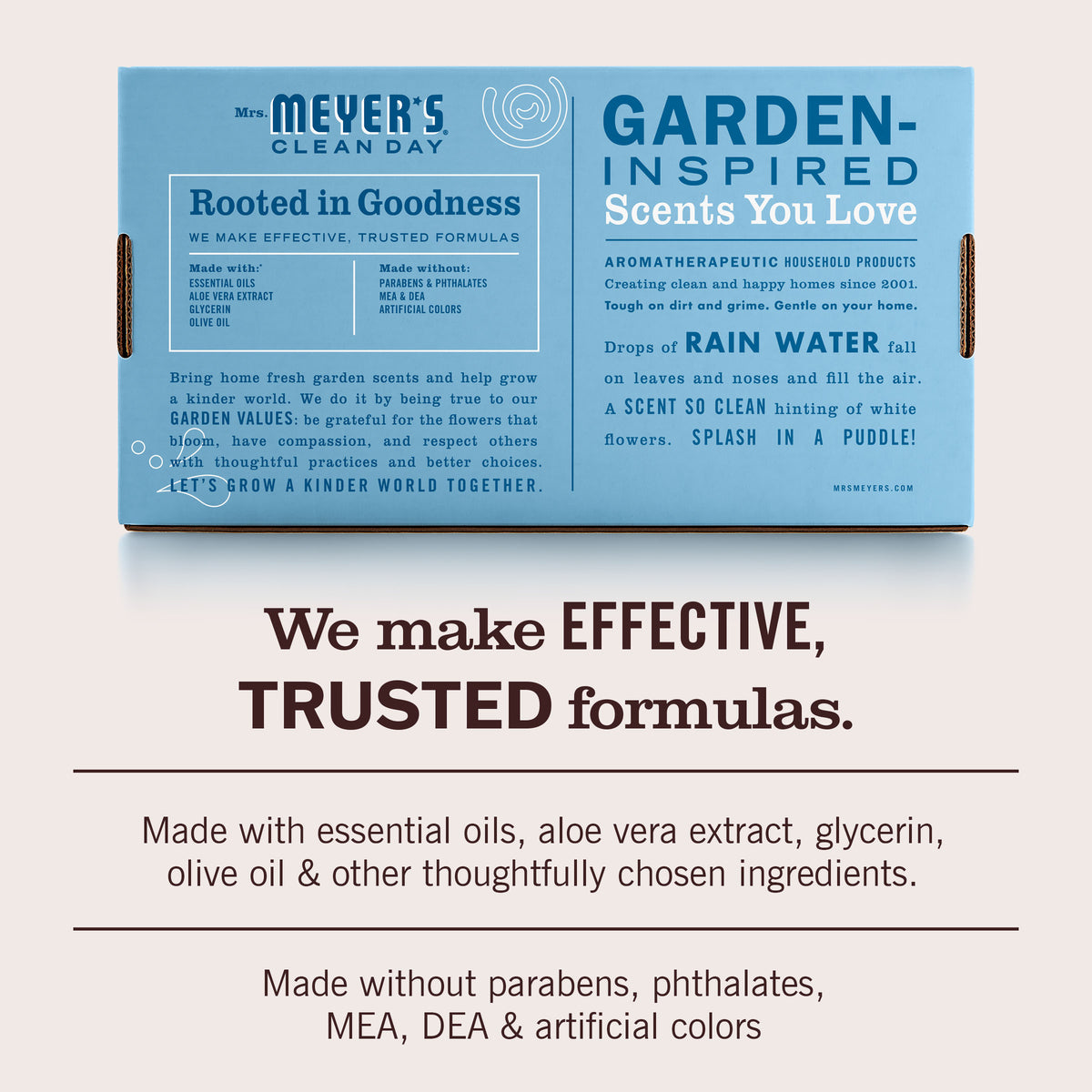Rain Water Foaming Hand Soap Concentrated Refills, 4 pack