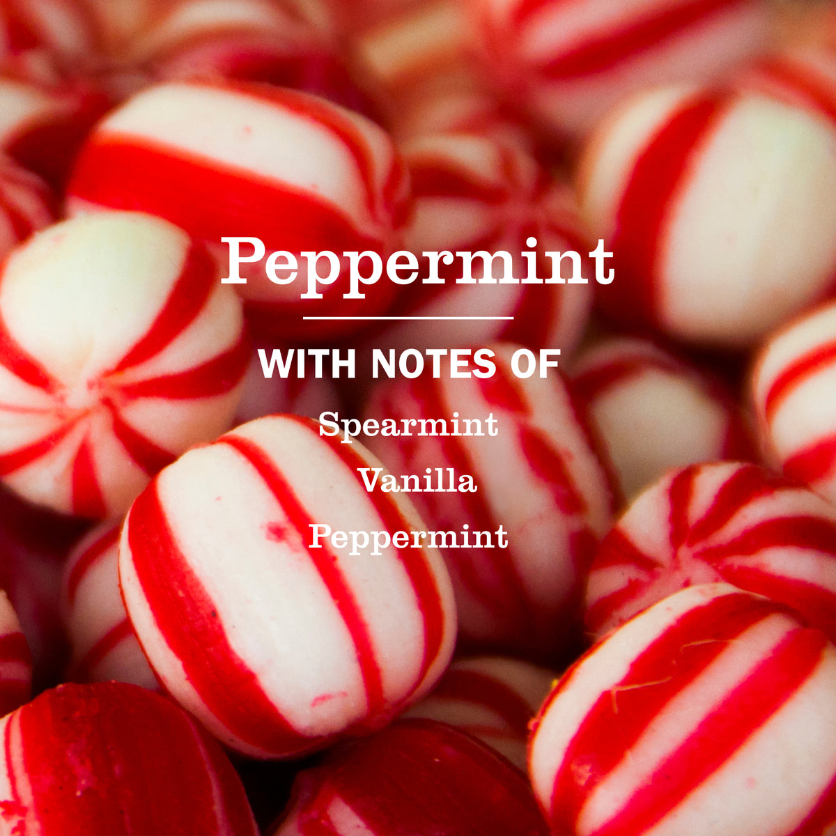 Peppermint Plug In Scented Oil Warmer With Refill