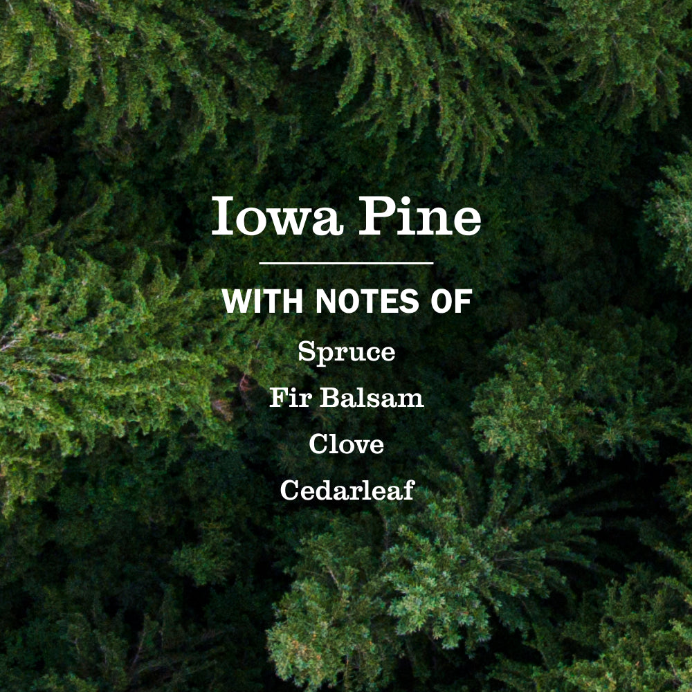 Iowa Pine Multi-Surface Everyday Cleaner 3-count Bundle
